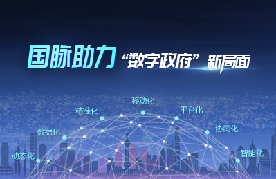 國(guó)脈助力數(shù)字政府新局面